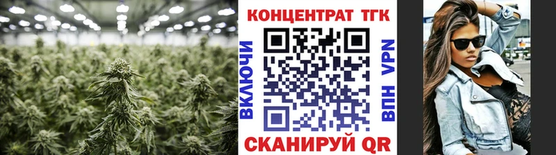 где купить наркоту  Рошаль  ТГК гашишное масло 