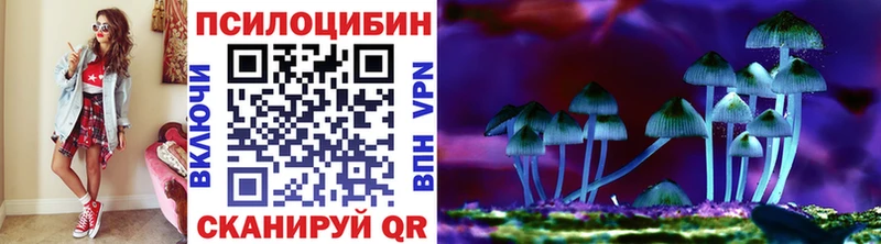 Галлюциногенные грибы прущие грибы  где купить наркотик  Рошаль 